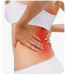 back support