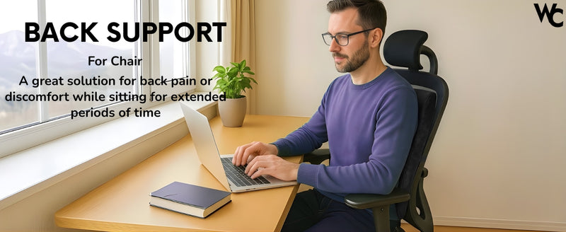 aplus| Back Support
